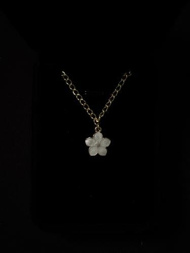 قلادة Floward2
