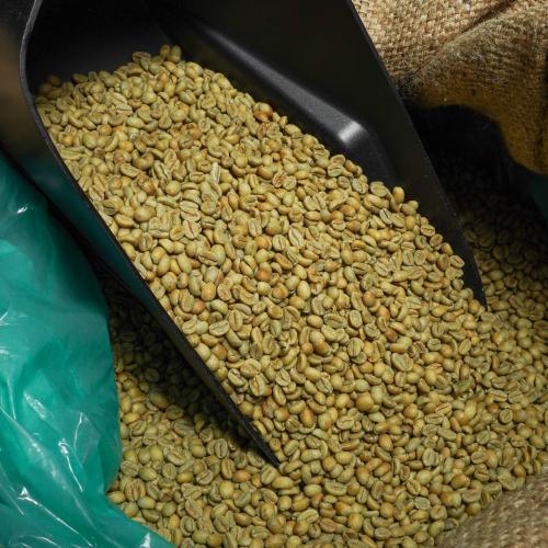 أوغندا، ماناناسي - بن أخضر
