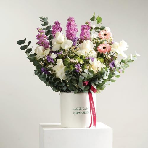 بوكس همس الربيع