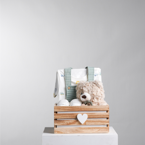 سلة البيبي الفاخر