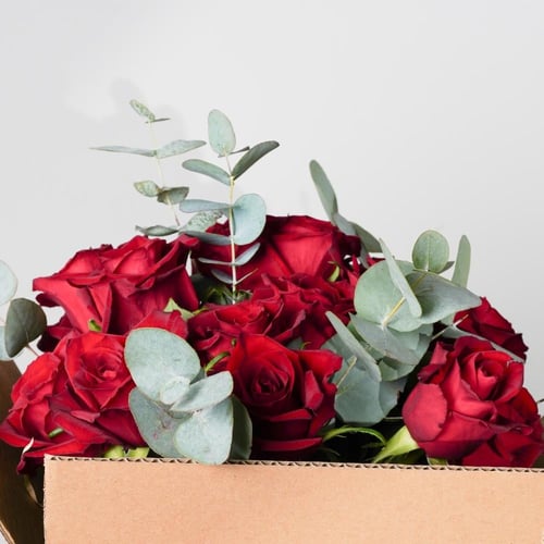 جاردن اوف لوڤ