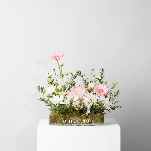 بوكس نسيم الحديقة