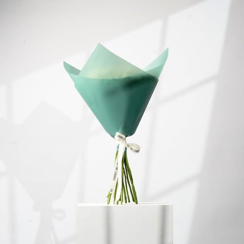 باقة نبض النقاء