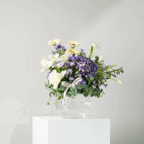 فازة وايت فايب