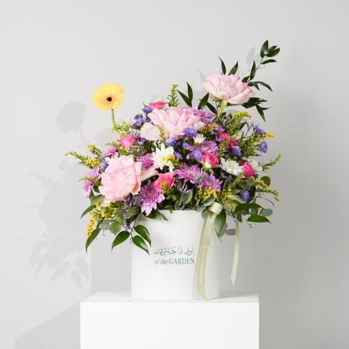 بوكس الايام