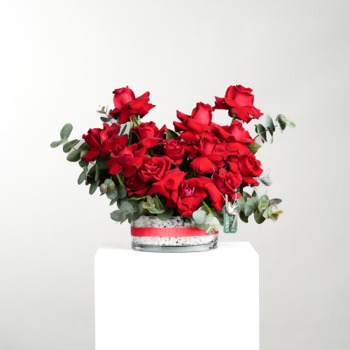 فازة وهج الحب