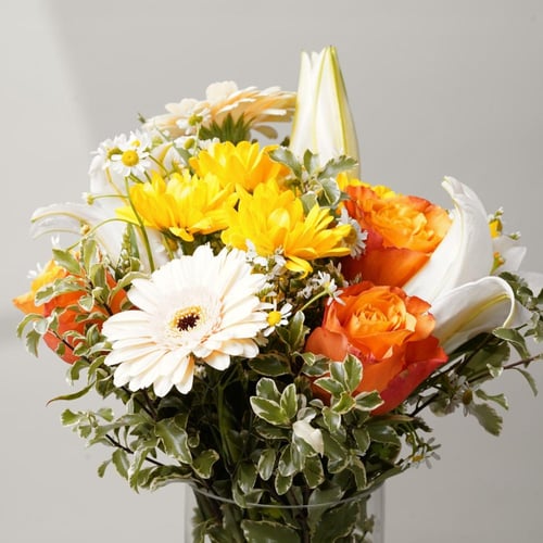 فازة شروق الأمل