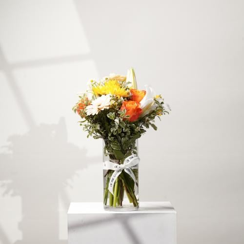 فازة شروق الأمل