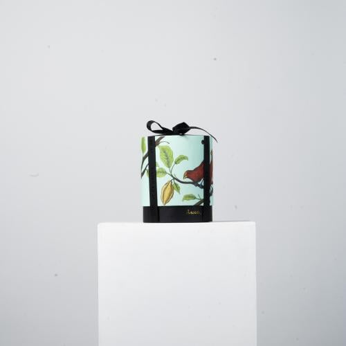 انوش بوكس كورنافلكس شوكلة