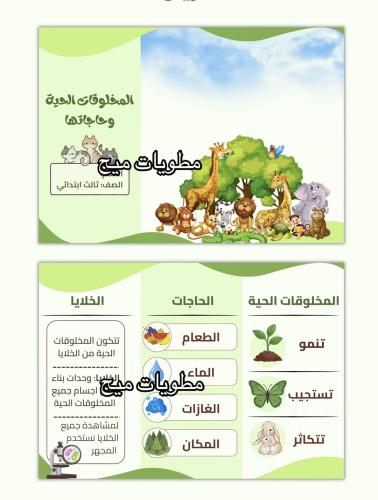 مطوية المخلوقات الحية وحاجاتها - علوم صف ثالث