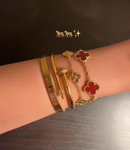 بكج اساور راقي