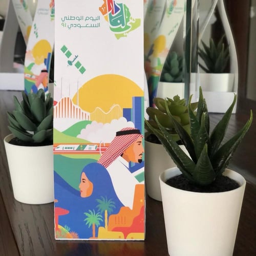 نبتة صبار صناعي