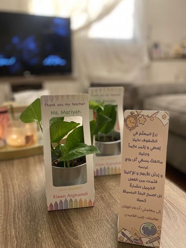 سلة نبتة البوتس