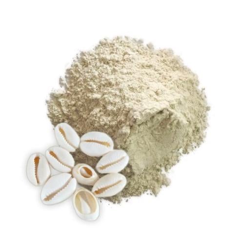 ودع المغربي