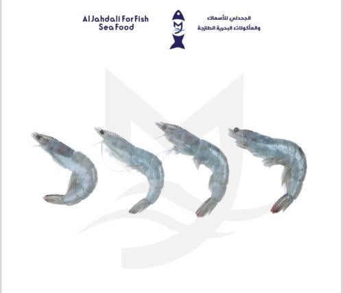 جمبري مزارع ( 1ك )