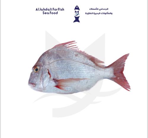 سمك نجار ( 1ك )