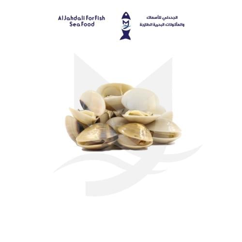 جندفلي ( اصداف البحر )