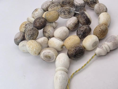 سبحه من قرن الغزال الأوربي