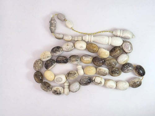 سبحه من قرن الغزال الأوربي