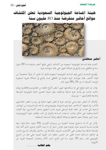 بحث أحفورة بلدي