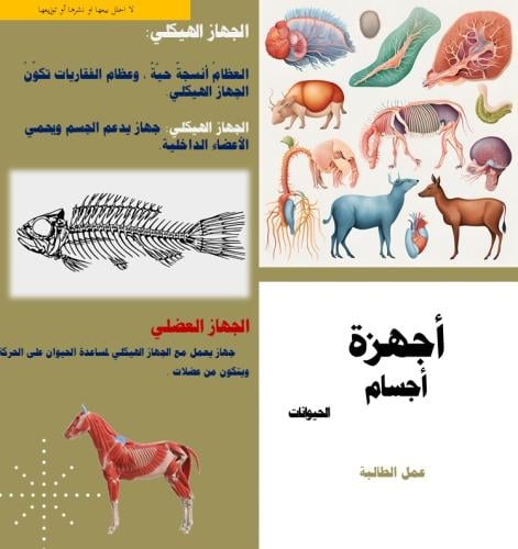 مطوية لدرس أجهزة أجسام الحيوانات