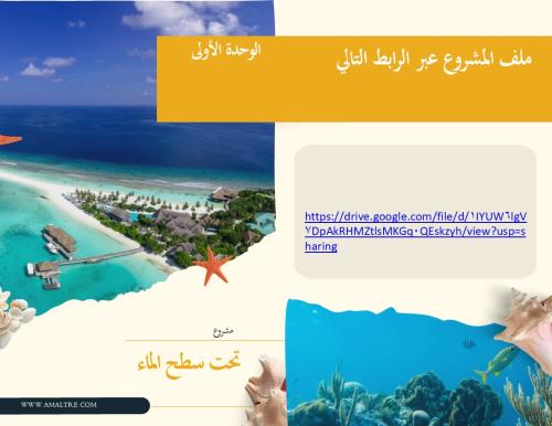 مشروع تحت سطح الماء