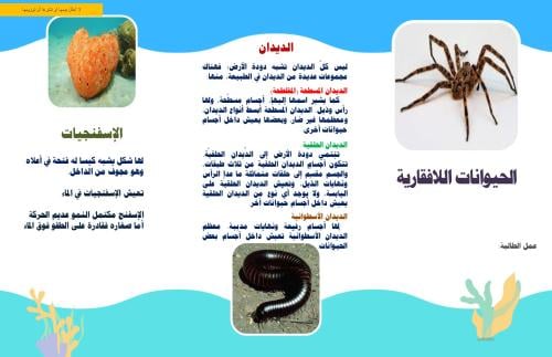 مطويه لدرس الحيوانات اللافقارية