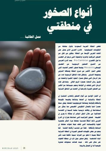 أنواع الصخور في منطقتي