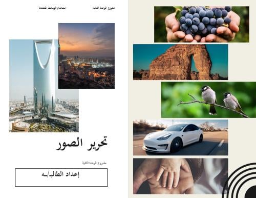 مشروع تحرير الصور