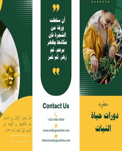 مطوية لدرس دورات حياة النباتات