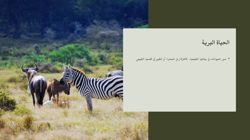 صور البيئة الصحية البيئة الملوثة