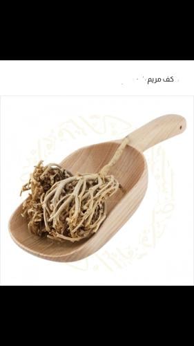 كف مريم