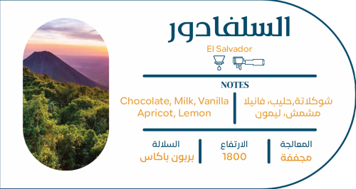 سلفادور ال كارمن