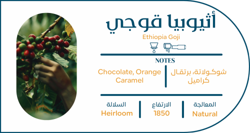 اثيوبيا قوجي