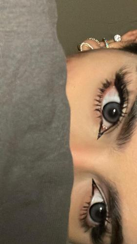 Holy deer gray