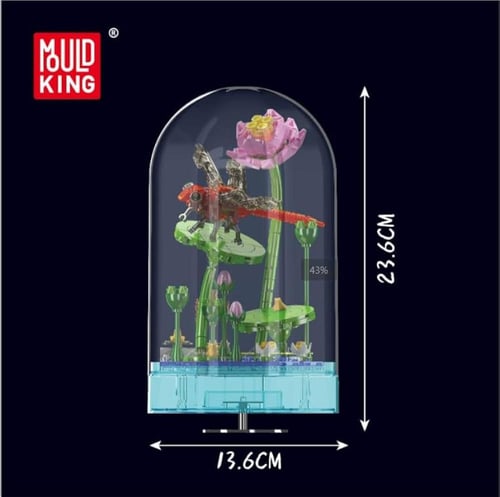 زهرة اليعسوب مع صندوق موسيقي(غير مركب)