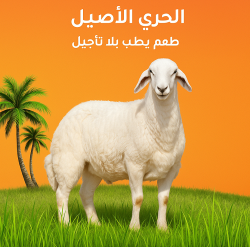 حري وسط – طعم يطلب بلا تأجيل