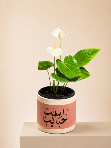 نبتة الانثريوم