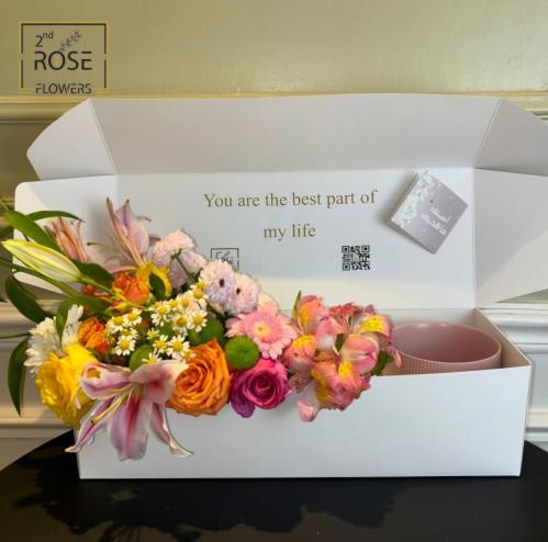 بكج فازة بنكوريان