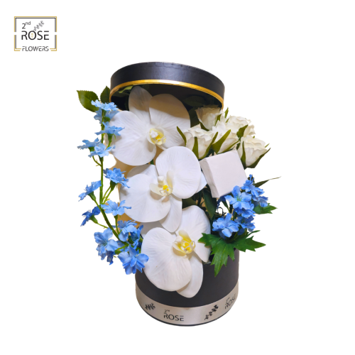 تنسيق فيوريانبولس