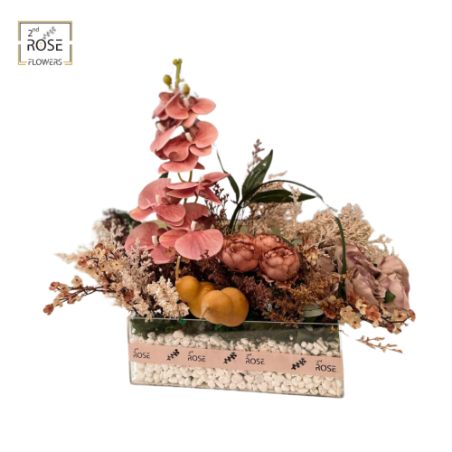 تنسيق اكرليك نيوكوين