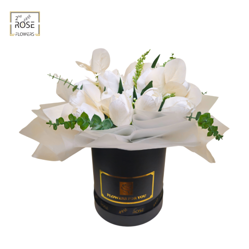 تنسيق برامتون