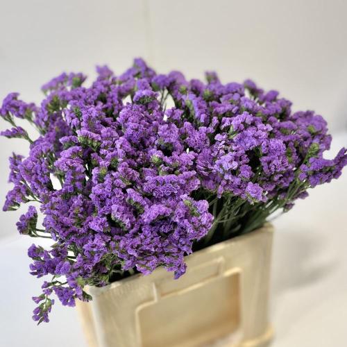 استاتيس موف 10 اغصان