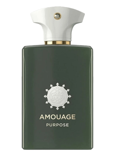 مجموعة المناسبات للسيدات