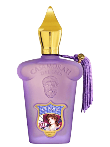 مجموعة المناسبات للسيدات