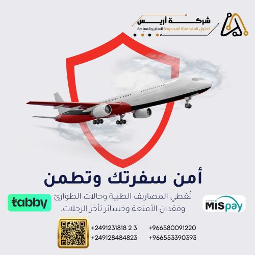 تأمين السفر