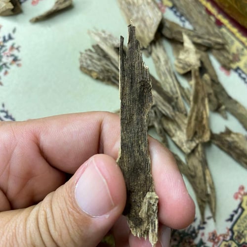 عود كلمنتان بونتيانك طبيعي- أوقية 28 قرام