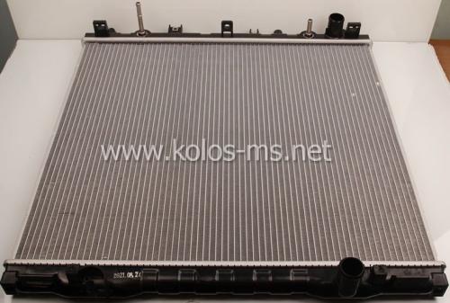 Radiator Assy - 253113E170