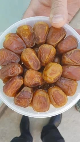 سكري رطب واحد كيلو علبة