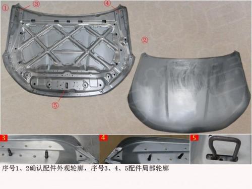 كبوت جوليان أصلي